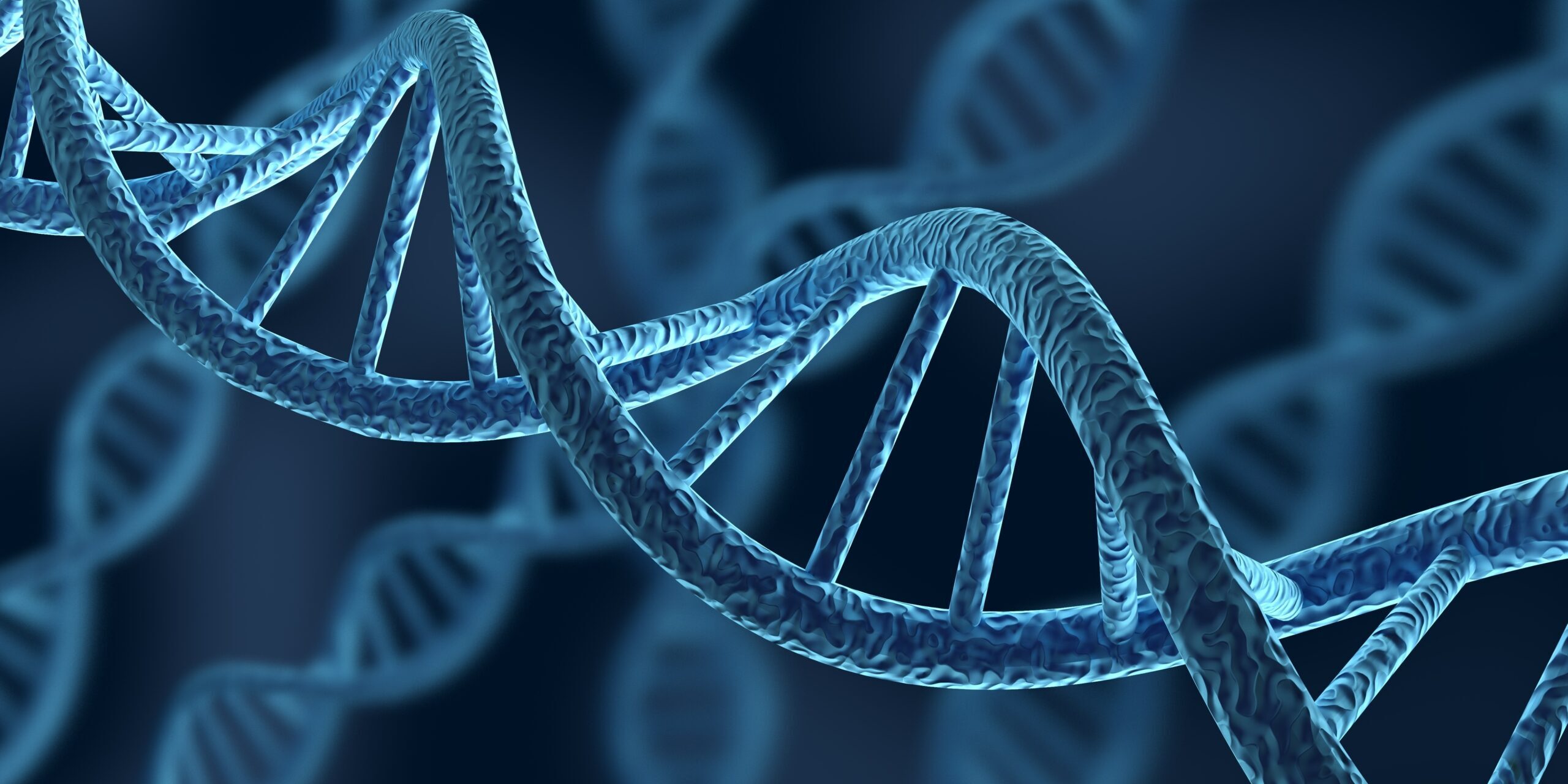 DNA. 3D. DNA Strands