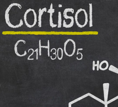 Metabolized Versus Free Cortisol Understanding The Difference Dutch Test